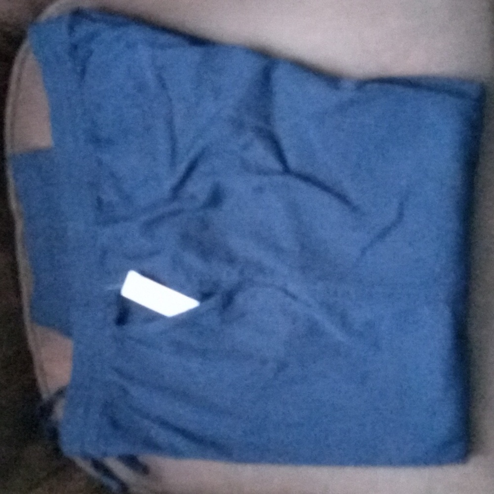 Gap Navy Blue Easy Pant Size L NWT